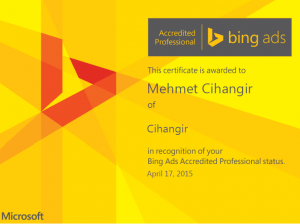 Bing Ads Accredited Professional Consultant