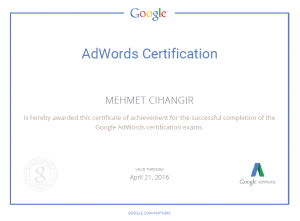 Google Adwords Certified Consultant